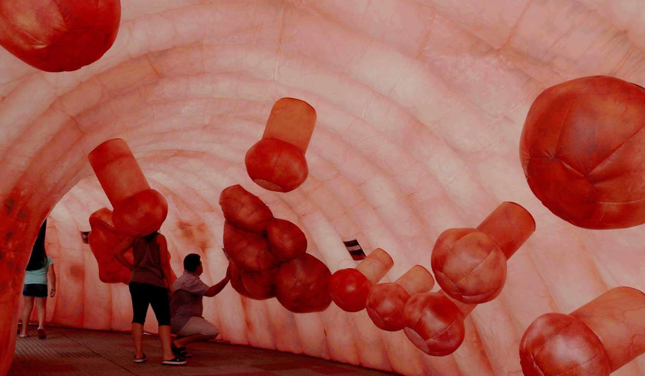 People inside a reproduction of a human colon, in Asuncion, Paraguay. The plastic made reproduction was placed by health authorities to raise awareness of Colorectal cancer in the country. Photo: EPA