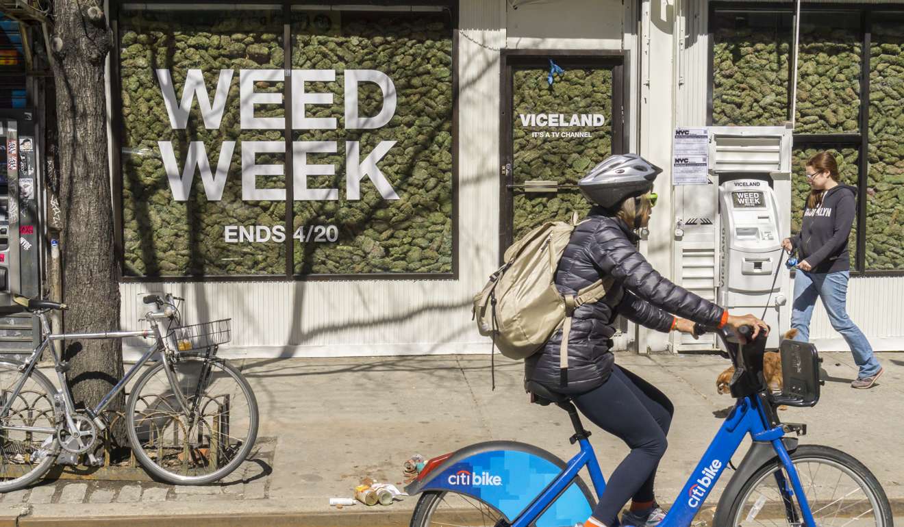 Two storefronts in the Lower East Side neighborhood of New York are filled with faux marijuana as a promotion for the so-called “Weed Week” programming on the Viceland television channel. The celebration of all things marijuana culminated on April 20, also known as 420 in cannabis culture. Photo: TNS