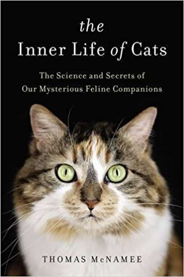 The cover of Thomas McNamee’s Inner Life of Cats