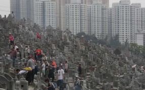 No Caption Available. No Caption Available.