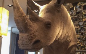 Favoured by actresses Karen Mok and Shu Qi, the MO in Taipei has the largest hotel spa in Taiwan