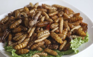 A mixed dish of deep-fried insects at People of Yunnan restaurant in San Po Kong. Photo: K.Y. Cheng