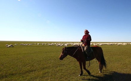 Devastating drought leaves herders struggling to find enough feed to keep livestock alive through winter