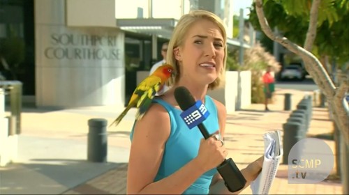 Parrot freaks out reporter