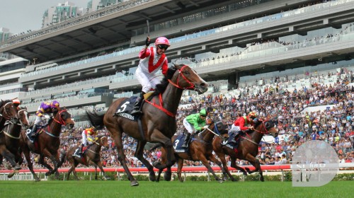 Nash Rawiller guides Secret Weapon to victory in the 2016 Jockey Club Cup