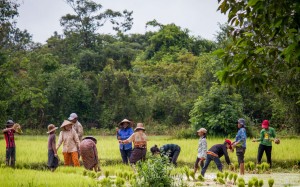 The 2016 World Responsible Tourism Awards winners have been announced and Asian tourism experiences have received top accolades, including joint overall winner. Here are six Asian getaways that allow you to give back