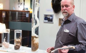 Museum has more than 286 different organs on display and attracts more female visitors than male – and curator Hjortur Sigurdsson says member donations are welcome
