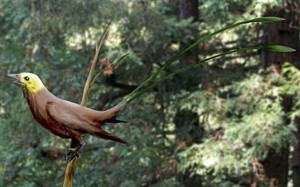 An artist’s impression of the Eoconfuciusornis, an extinct bird that lived 130 million years ago, during the Early Cretaceous period. Photo: Chinese Academy of Sciences