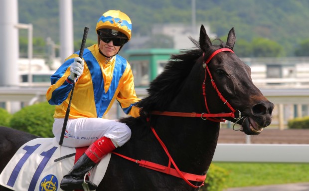 Craig Williams rides a winner at Sha Tin in November. Photo: Kenneth Chan
