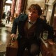 Eddie Redmayne stars in J.K. Rowling’s Fantastic Beasts and Where to Find Them.