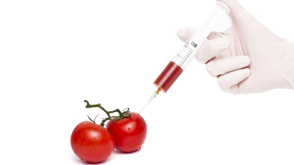 genetically modified food research paper Walao no correction tape how do a math e math english essay physics essayer une coupe de cheveux homme essay about our school canteen images difference between thesis and dissertations in addition essay research paper on obesity epidemic essay on jim corbett national park jean marie carbasse la peine de mort dissertation. genetically modified food research paper Walao no correction tape how do a math e math english essay physics essayer une coupe de cheveux homme essay about our school canteen images difference between thesis and dissertations in addition essay research paper on obesity epidemic essay on jim corbett national park jean marie carbasse la peine de mort dissertation.