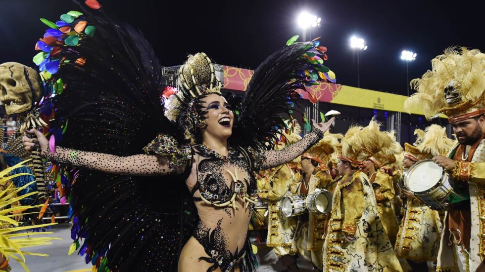 Brazilian Carnaval Porn 45