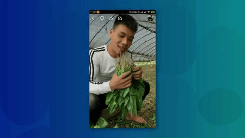 Kuaishou user Peng Zhang teaches users how to grow spinach and celery while singing Mando Pop hits. (Picture: Kuaishou)