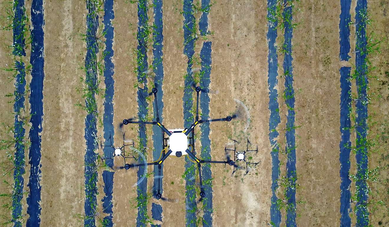 China S Pesticide Drones ‘a Godsend For Struggling