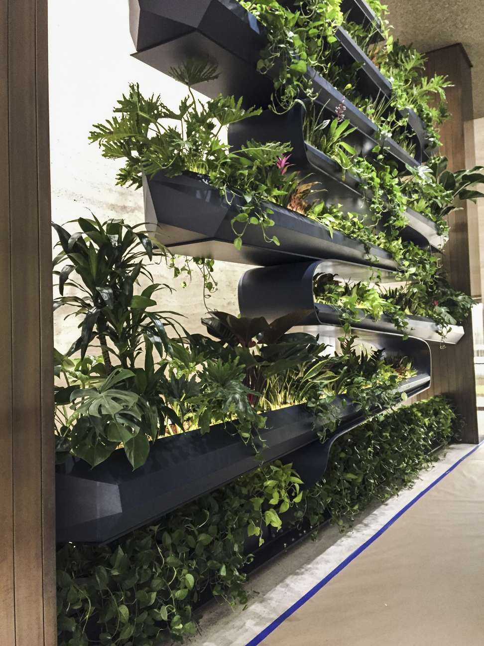 A living-plant wall by artist and landscape designer Paula Hayes at the Grill. Carbone and partners have invested a reported US$30 million in the Grill and two adjoining restaurants. Photo: Bloomberg