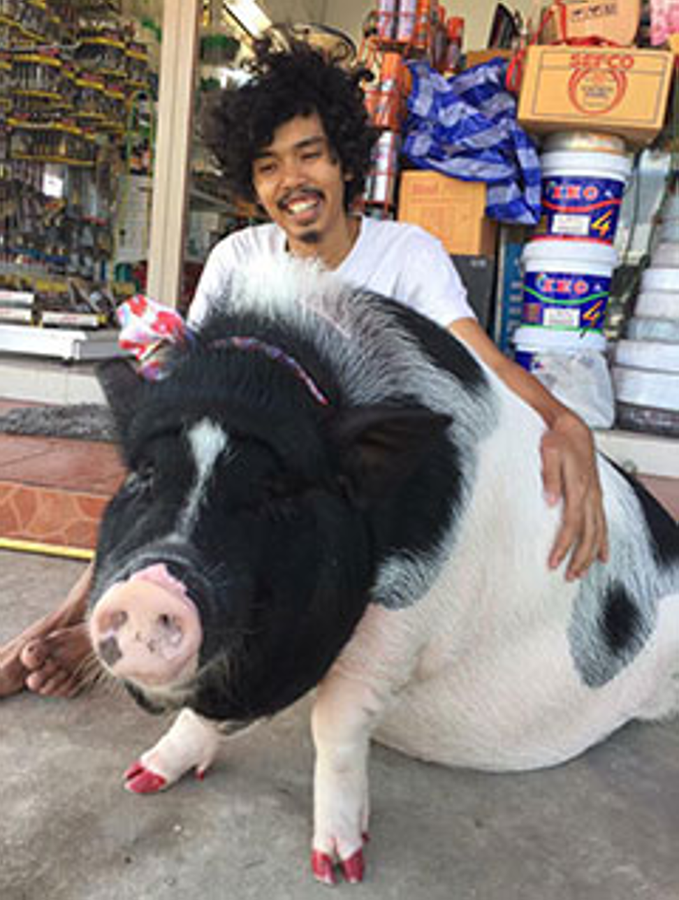 Pattanadol Taesakul, 25, poses with Junior on Monday. Photo: @Pigjuniorr Facebook page