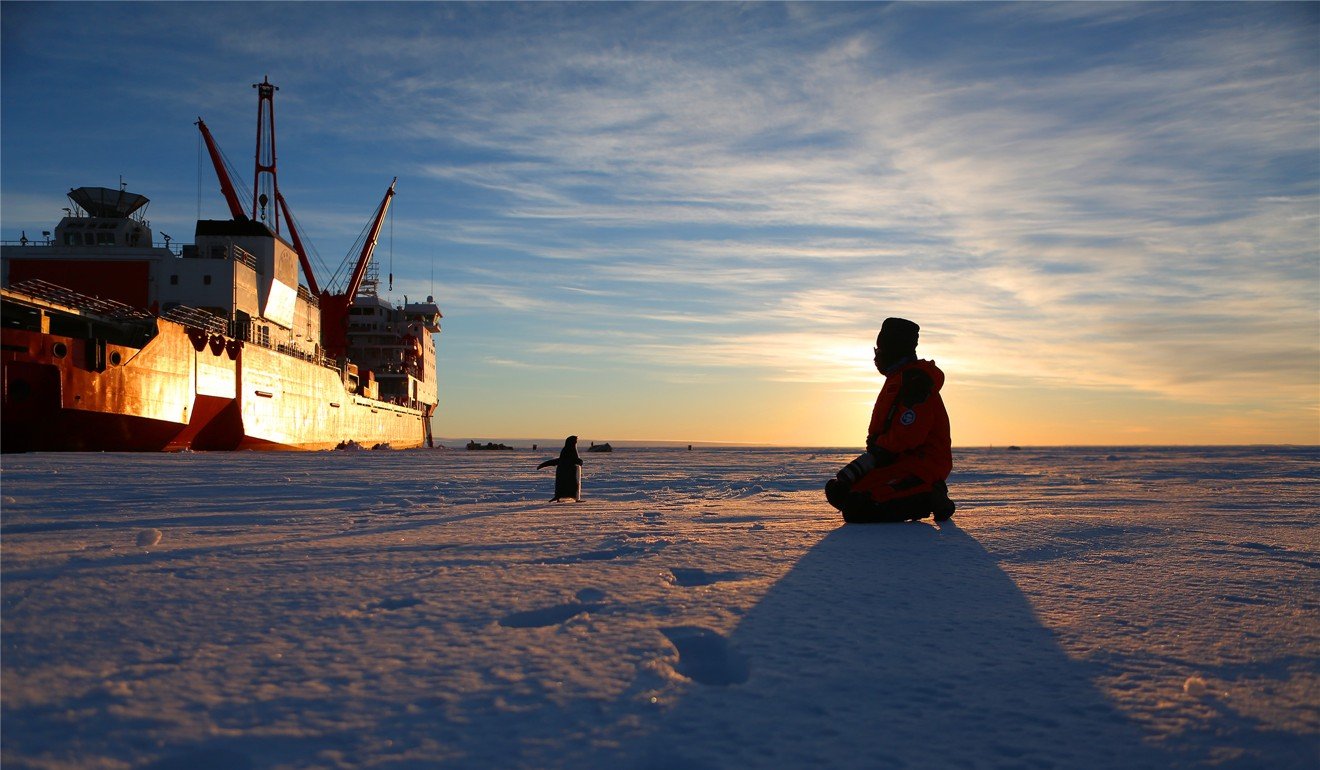 In this file photo from December 2014, a member of a Chinese scientific expedition team watches a penguin in Antarctica, with the Chinese icebreaker Xuelong in the distance. Photo: Xinhua