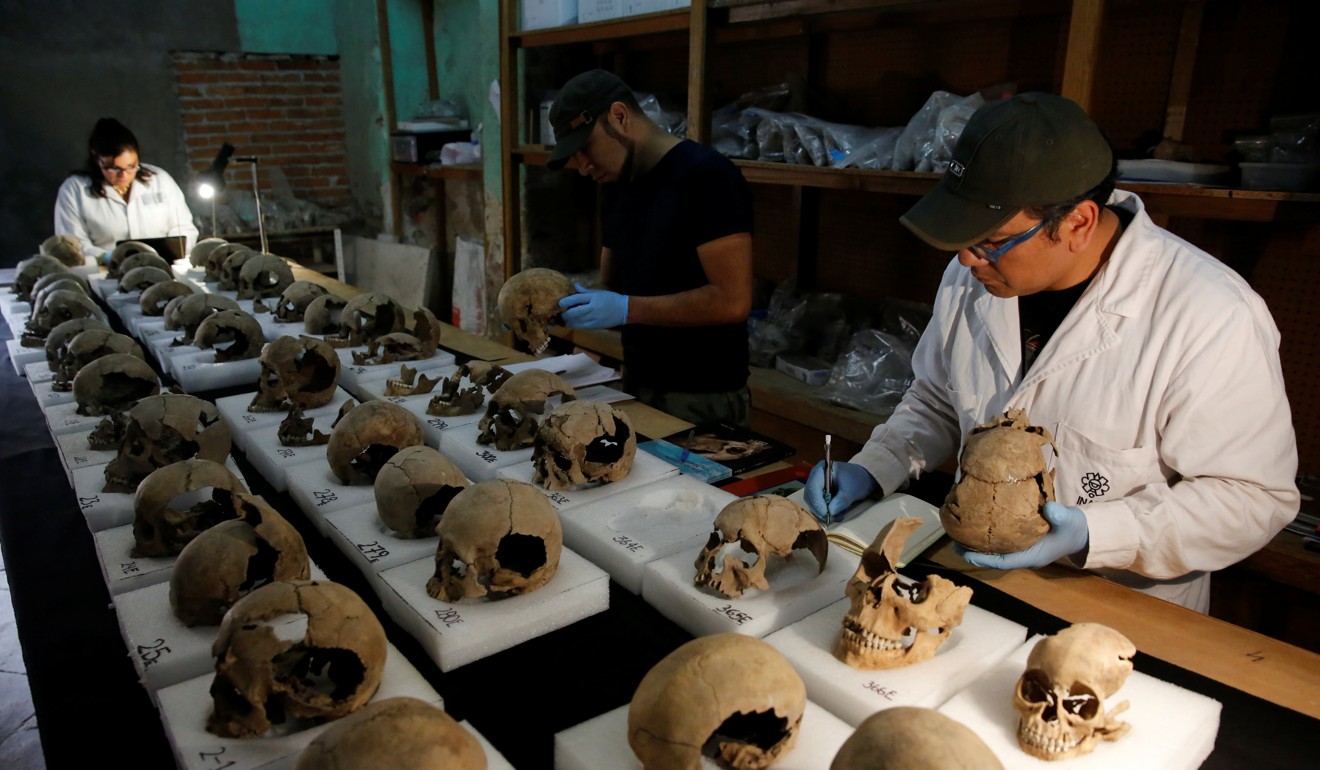 Anthropologists examine the skulls. Photo: Reuters