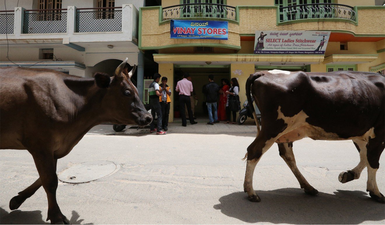India's Supreme Court has temporarily lifted a government ban on selling cattle for slaughter. Photo: TNS