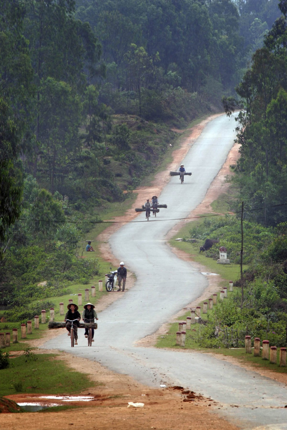 Ho Chi Minh Trail. Photo: David Longstreath/AP