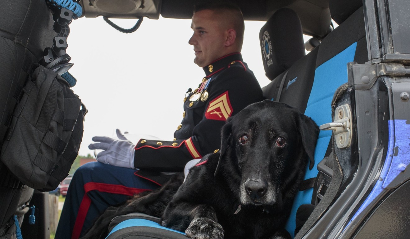 US Marine veteran Lance Corporal Jeff DeYoung and his dog Cena, a 10-year-old black lab who was a military service dog, ride away in downtown Muskegon, Michigan on Wednesday. Photo: AP