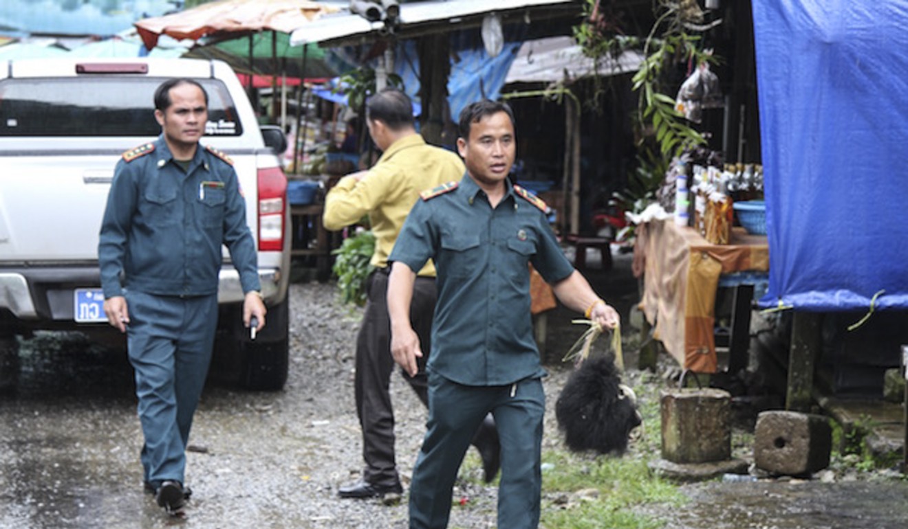 Loatian government officers remove evidence during a raid on a market that sells bears. Photo: Free the Bears