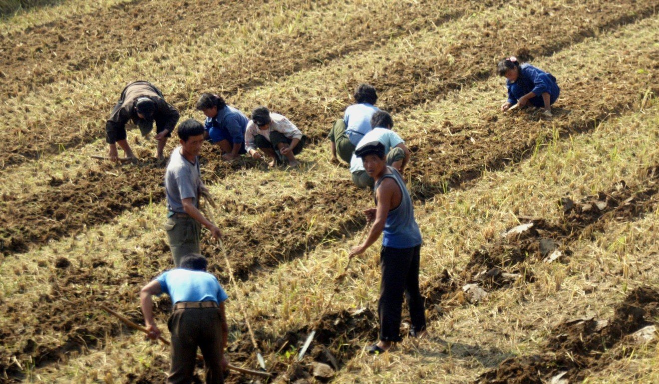 A group of North Korean farm labourers work on a field. Photo: SCMP Pictures