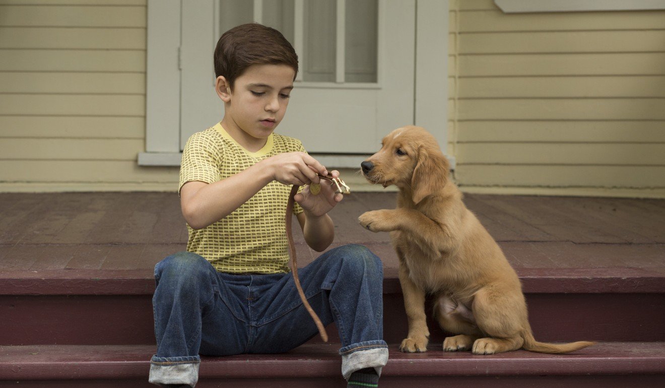 A scene from the film A Dog's Life.