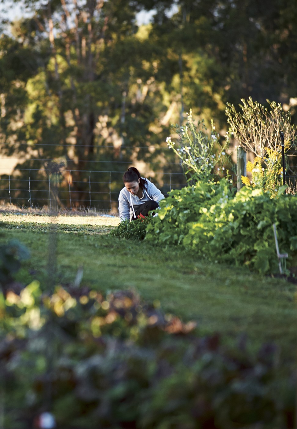 Farm-to-table chef Dan Hunter, of Brae restaurant in Australia, on the  pleasures of growing your own food