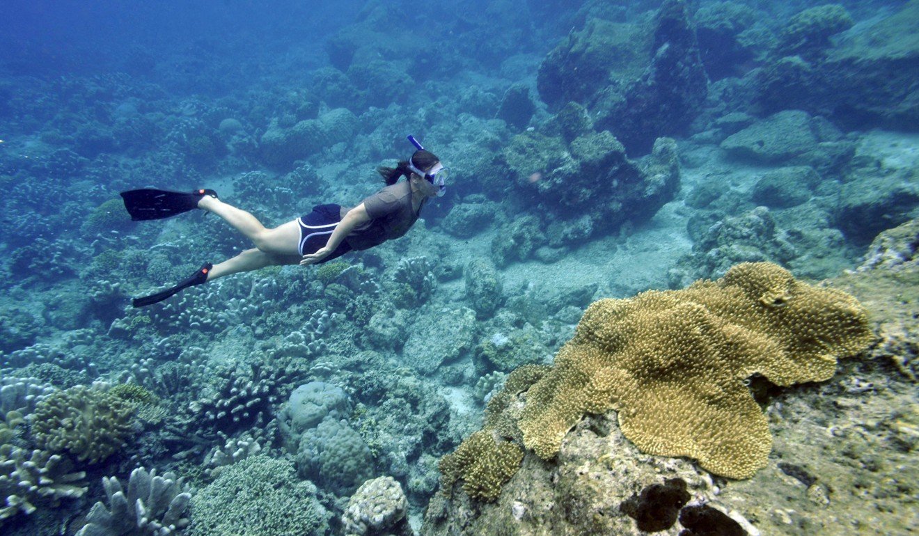 A diver explores a coral reef in Manado, a popular Indonesian destination for Chinese travellers. Photo: AFP