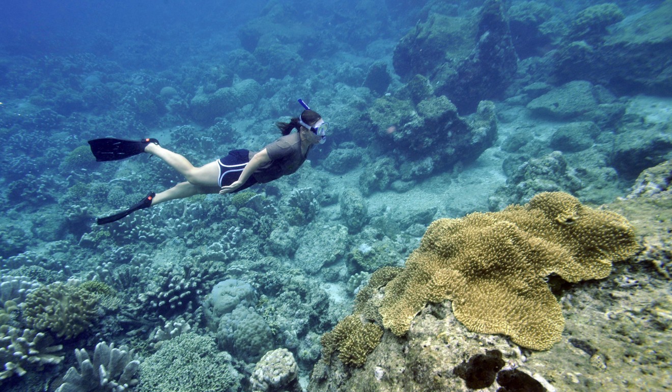 A diver explores a coral reef in Manado, a popular Indonesian destination for Chinese travellers. Photo: AFP