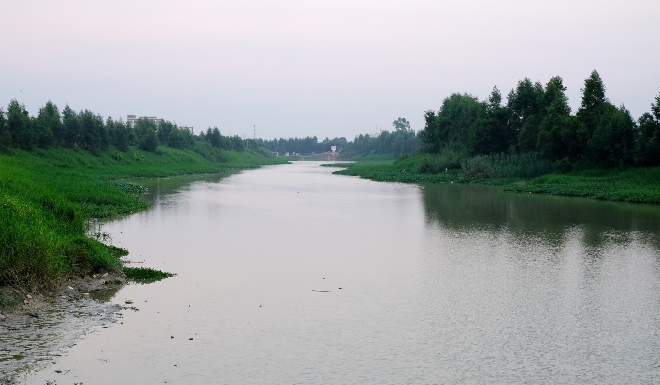 Guangdong’s Environmental Protection Department says pollutant levels in the Beigang River have dropped. Photo: Lea Li