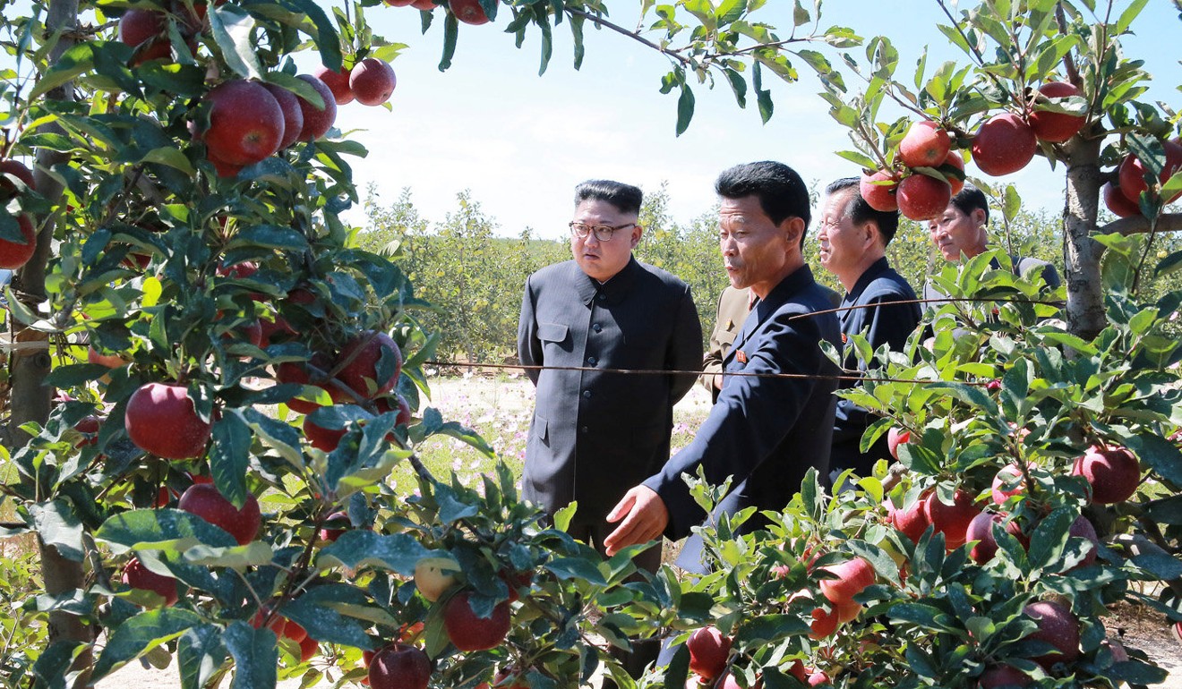 North Korean leader Kim Jong-un (left) on a visit to South Hwanghae Province, in a photo released Friday. Photo: AFP