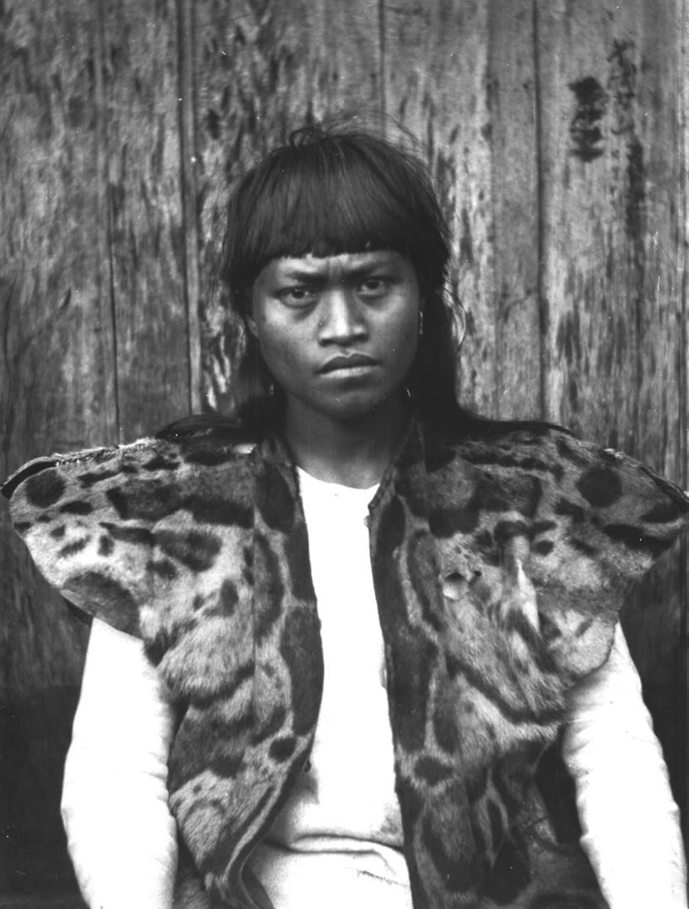 A photograph by Japanese anthropologist Torii Ryuzo, circa 1900, shows a Taiwanese Aboriginal in a vest made from a clouded leopard pelt.