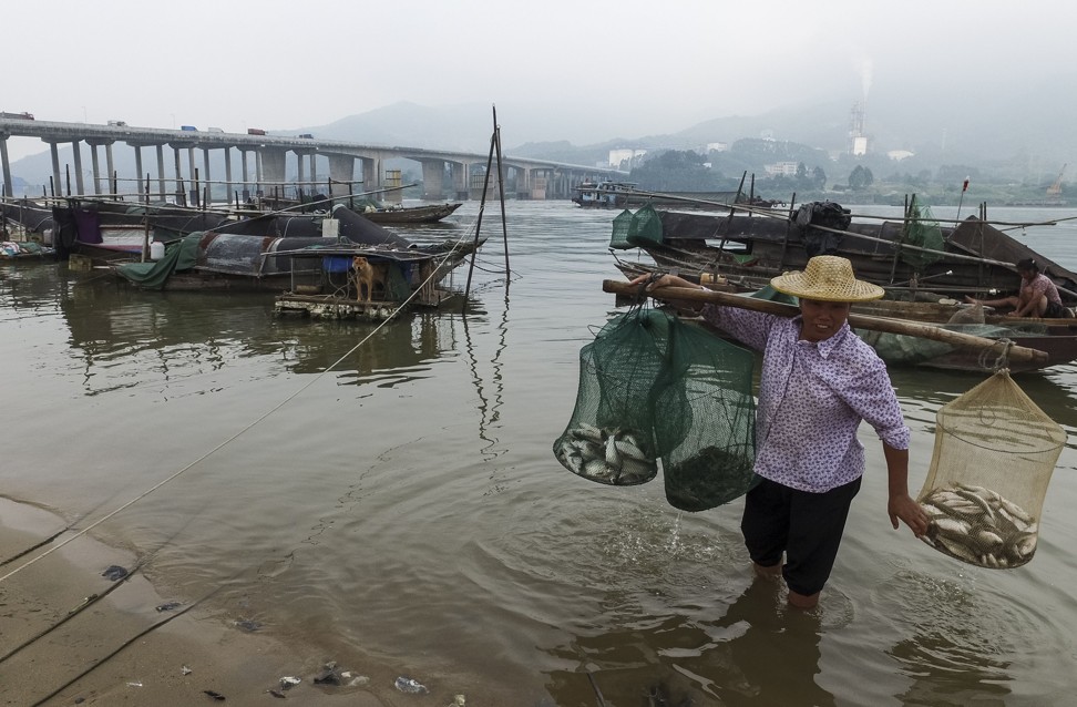A woman carries nets filled with fish to sell ashore. Photo: AFP