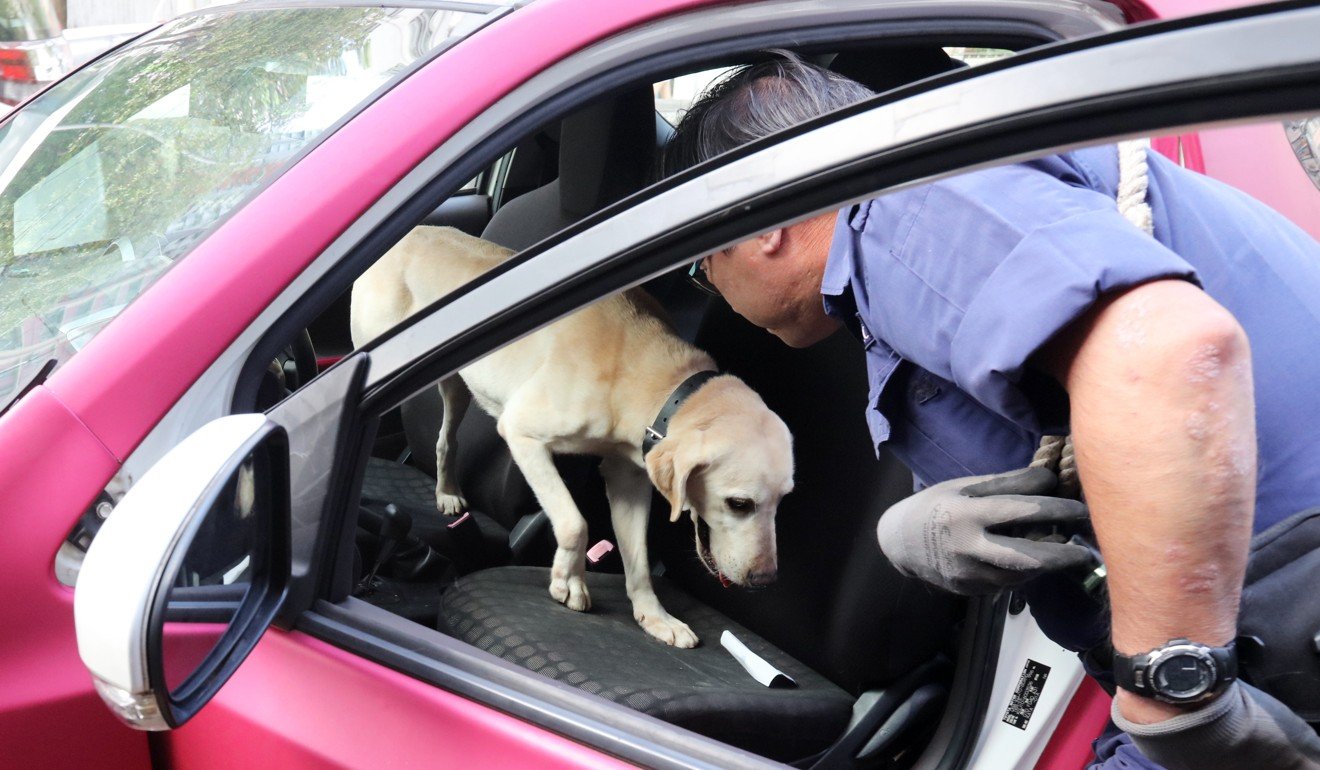 A police sniffer dog found no illegal drugs in the car. Photo: Felix Wong