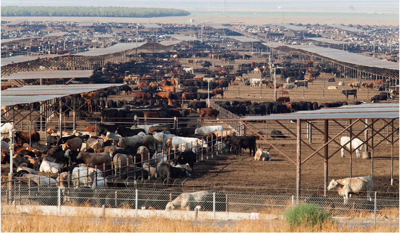 Over half of the world’s greenhouse gas emissions come from animal agriculture. Photo: Alamy