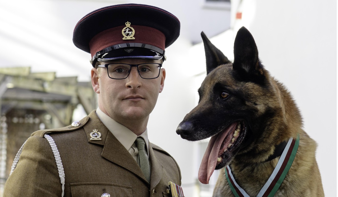 Corporal Daniel Hatley, with British Military Working Dog (MWD) Mali, a Belgian Malinois, who helped save the lives of troops in Afghanistan after receiving the prestigious PDSA Dickin Medal – the animal equivalent of the Victoria Cross, at a presentation ceremony held at The People’s Palace, in London on November 17, 2017. Photo: EPA/EFE