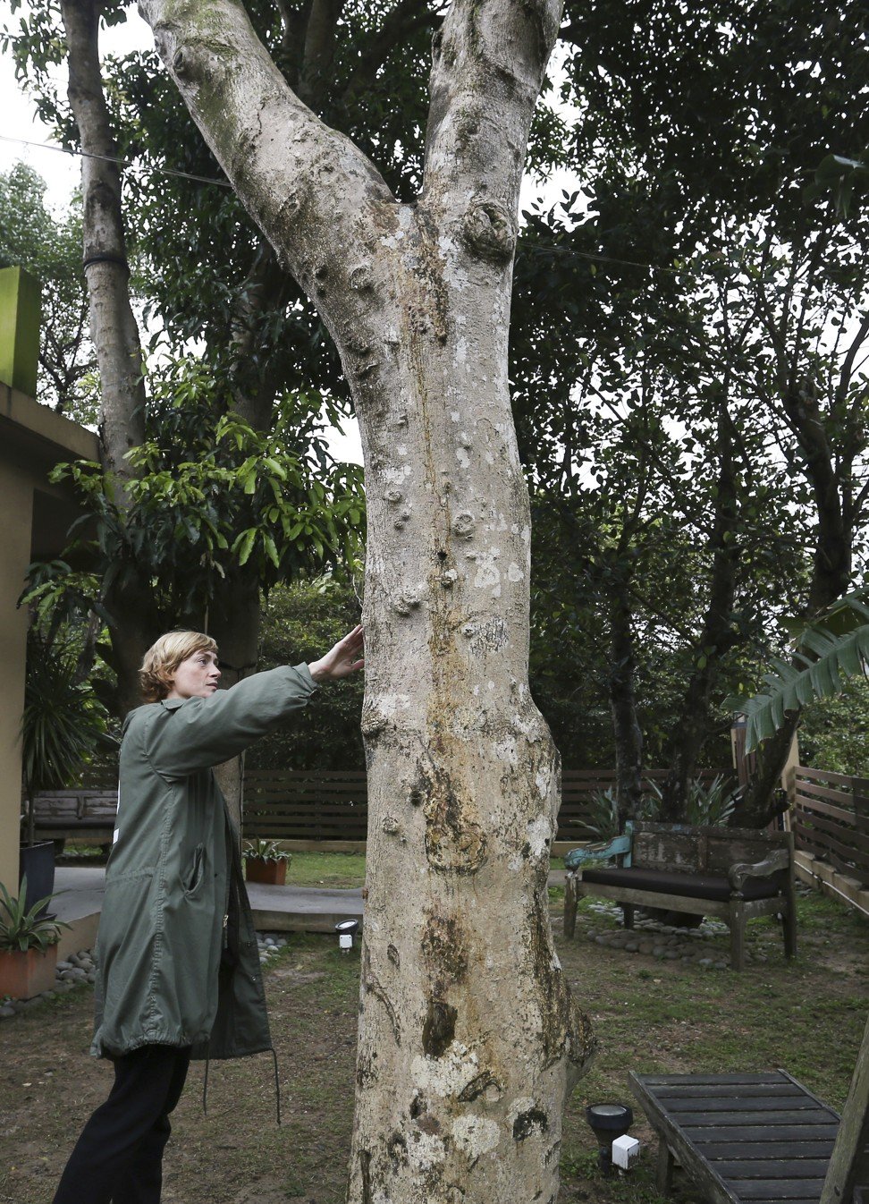 Big Wave Bay resident Ally Whittle with her Aquilaria sinensis agarwood tree, or incense tree. Photo: Jonathan Wong