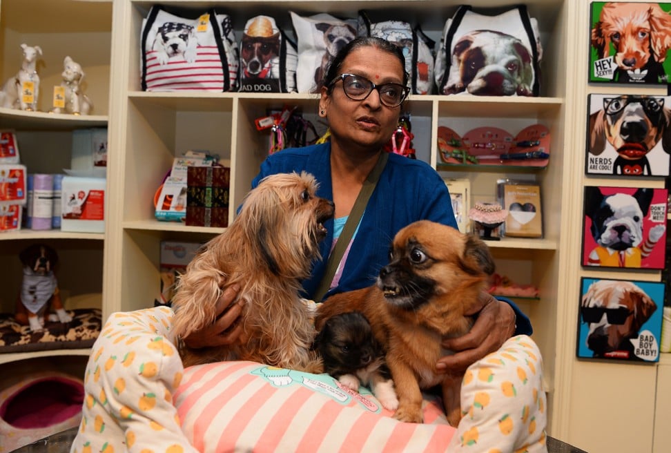 Dog owner Veena Patel holds her pets at the luxury dog hotel Critterati in Gurgaon, India. Photo: AFP .