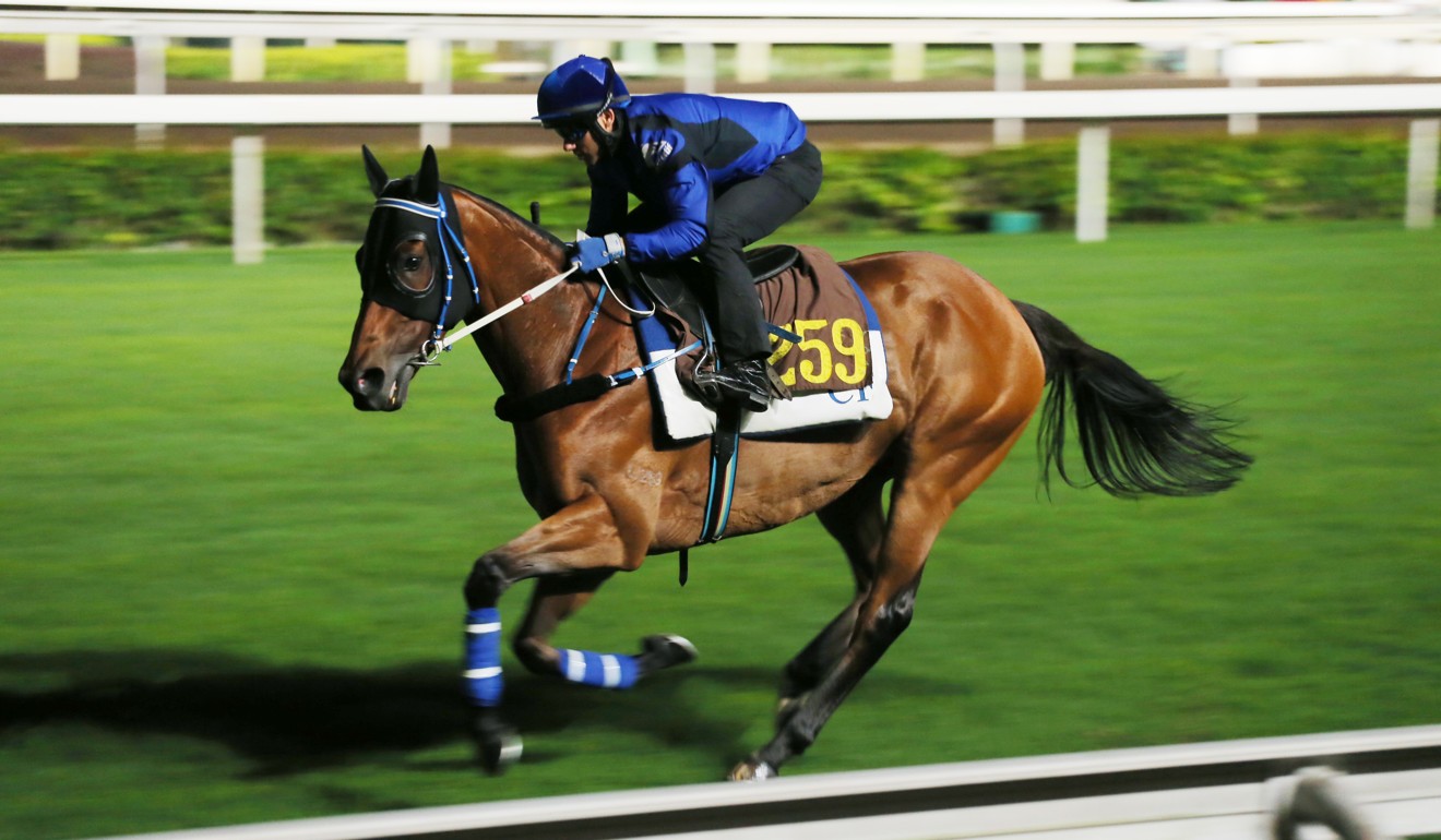 Lucky Nine, ridden by Brett Prebble gallop on the turf at Sha Tin.