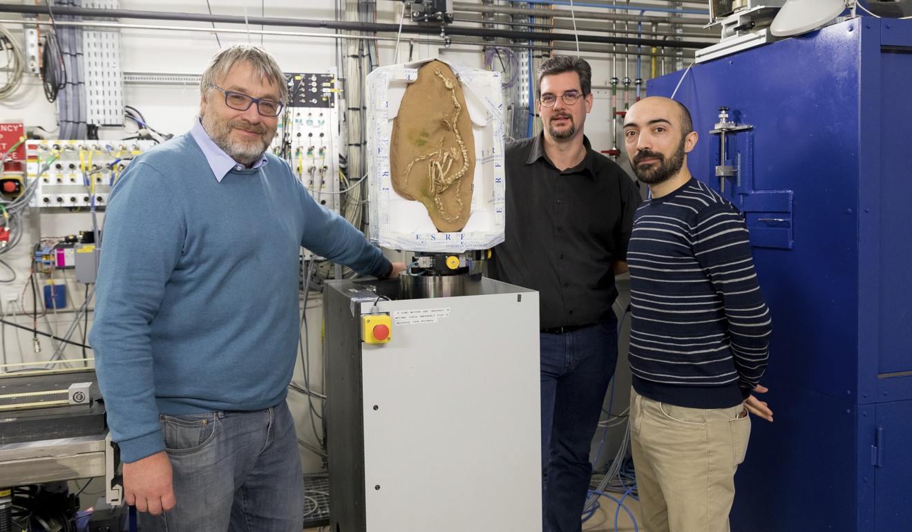 This photo provided by the European Synchrotron Radiation Facility shows, from left, researchers Pascal Godefroit, Andrea Cau, and Paul Tafforeau at the ESRF facility in Grenoble, France with a Halszkaraptor escuilliei fossil. Photo: AP
