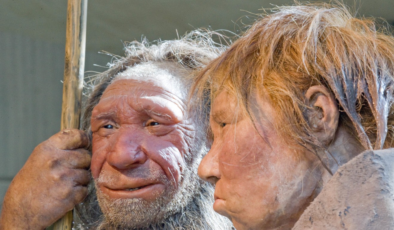 Reconstructions of a Neanderthal man named “N”, left, and woman called “Wilma”, right, at the Neanderthal museum in Mettmann, Germany. Photo: AP