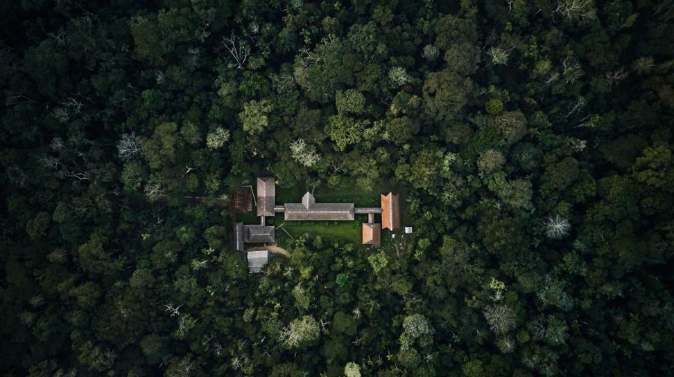 Stay a week in an Amazonian jungle lodge.