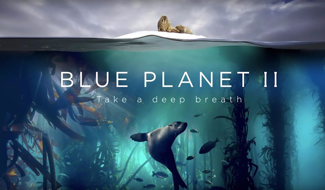 Blue Planet II is popular in China, where millions have watched it online. Photo: BBC