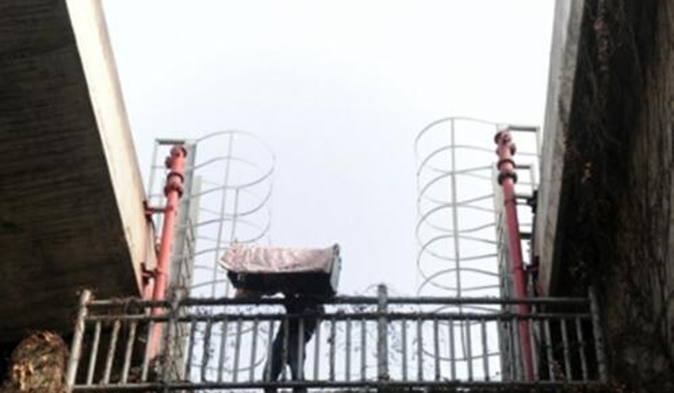 A cage was used to trap the animal on the elevated highway. Photo: Weixin.qq.com