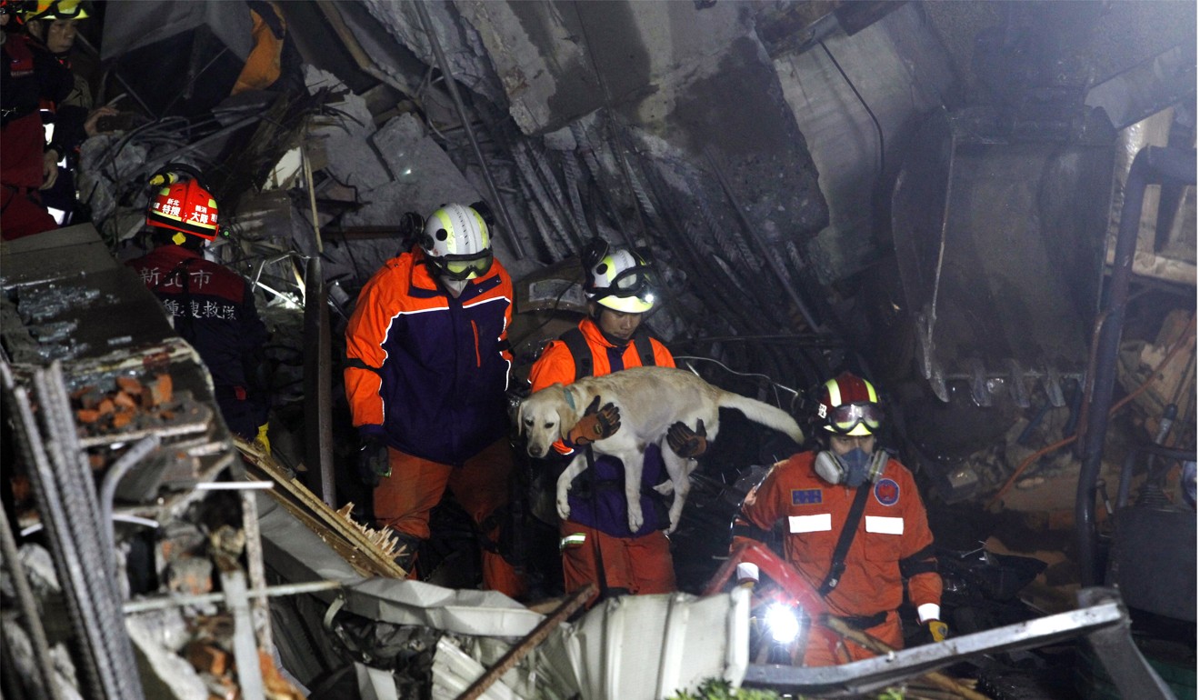 A dog is carried from a collapsed building in Hualien. Photo: AP