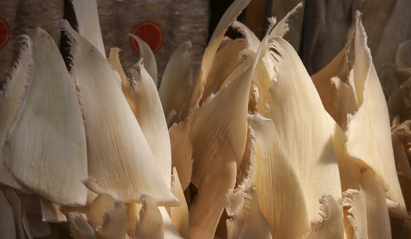 Shark fin in Hong Kong. Photo: David Wong