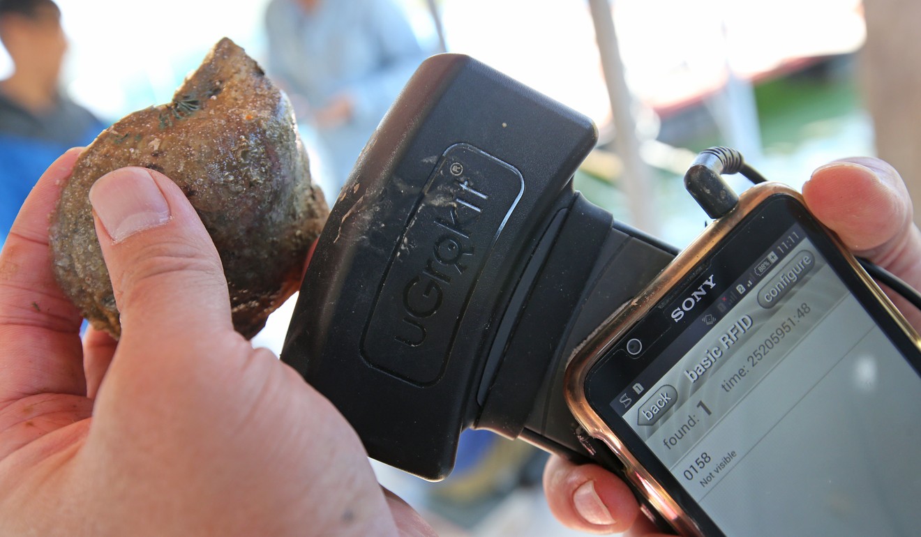 Radio-frequency identification technology is used to monitor oyster development. Picture: David Wong