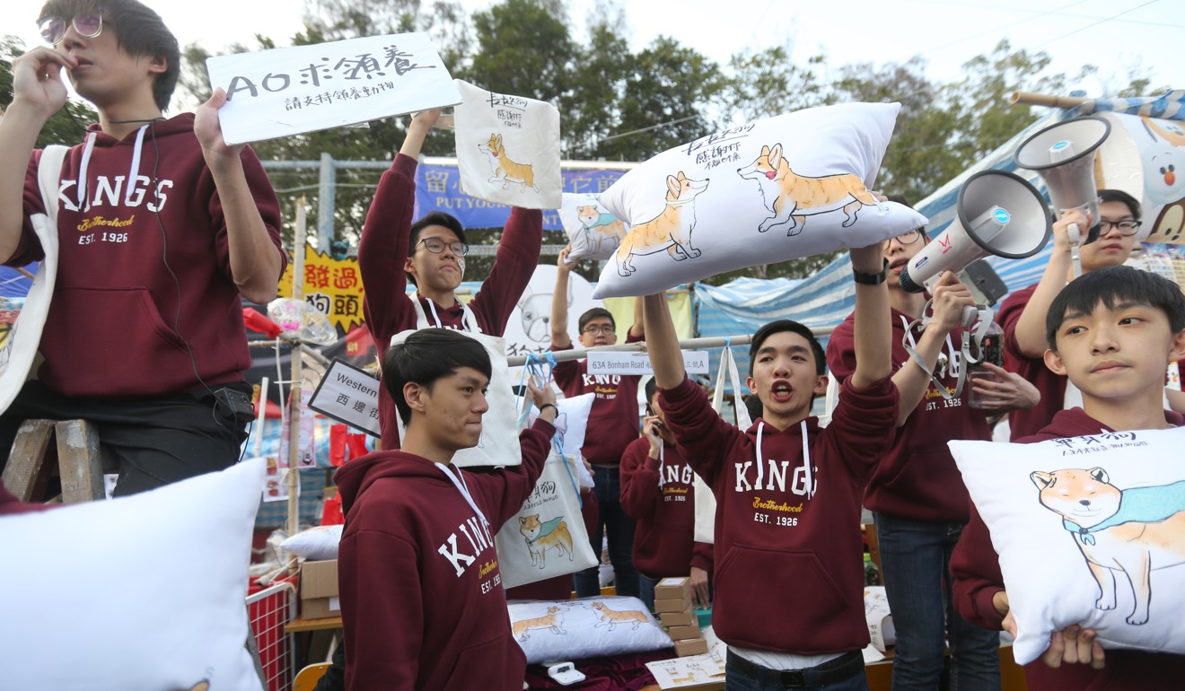 Pupils and old boys from King’s College promote their dog-themed cushions and tote bags. Photo: Xiaomei Chen